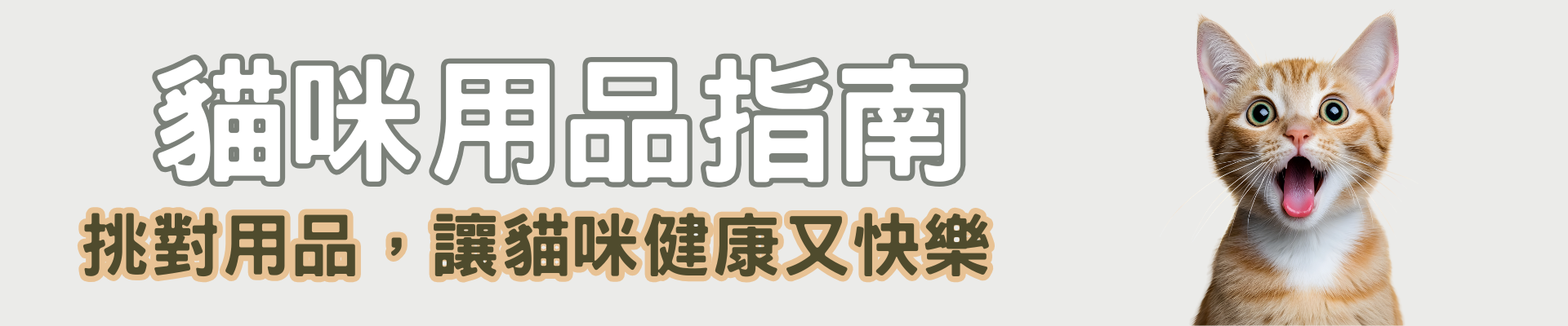 貓咪用品指南，挑對用品讓貓咪健康又快樂