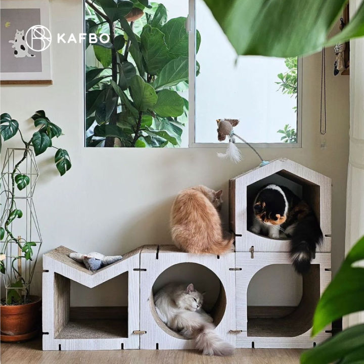 貓玩具-貓抓板-卡特喵喵