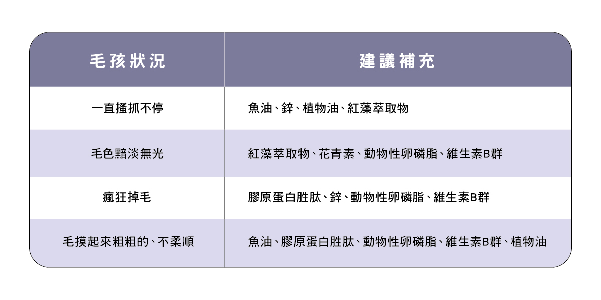 寵物皮膚保健營養素組合