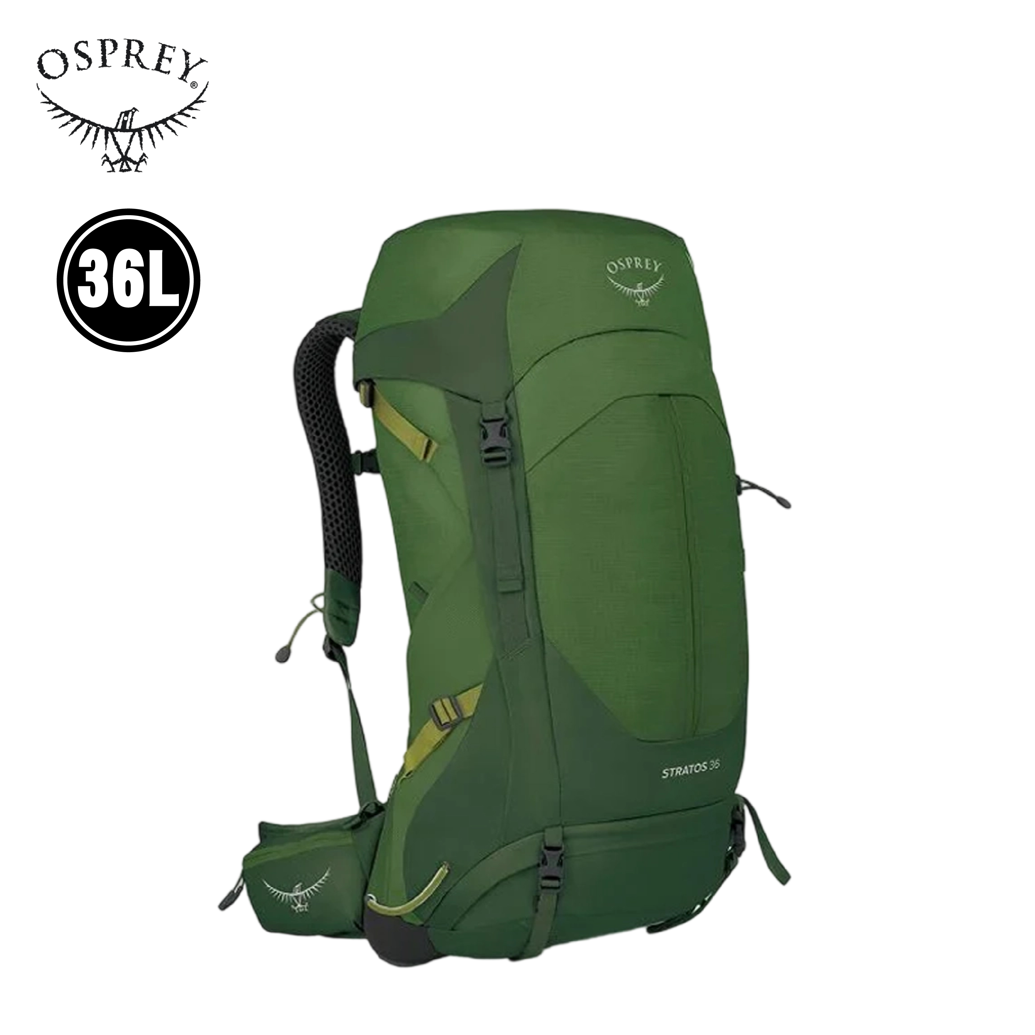 OSPREY 美國 Stratos 專業登山背包 36L (海藻抹茶綠色) 72OS005794