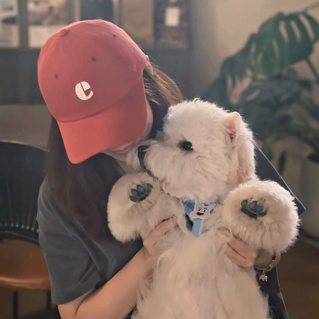 蔡依林同款 韓國emis 棒球帽