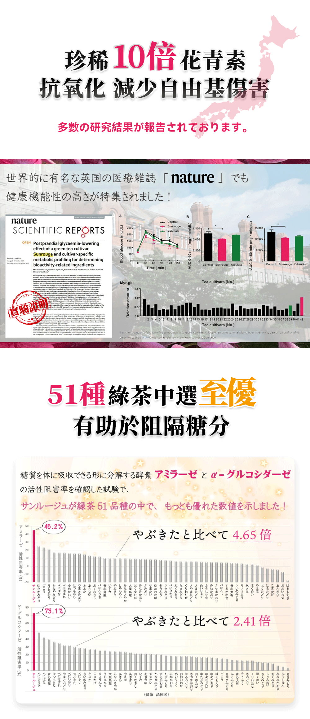 日茜茶 日本世界自然遺產鹿兒島長壽茶(2g*20包)
