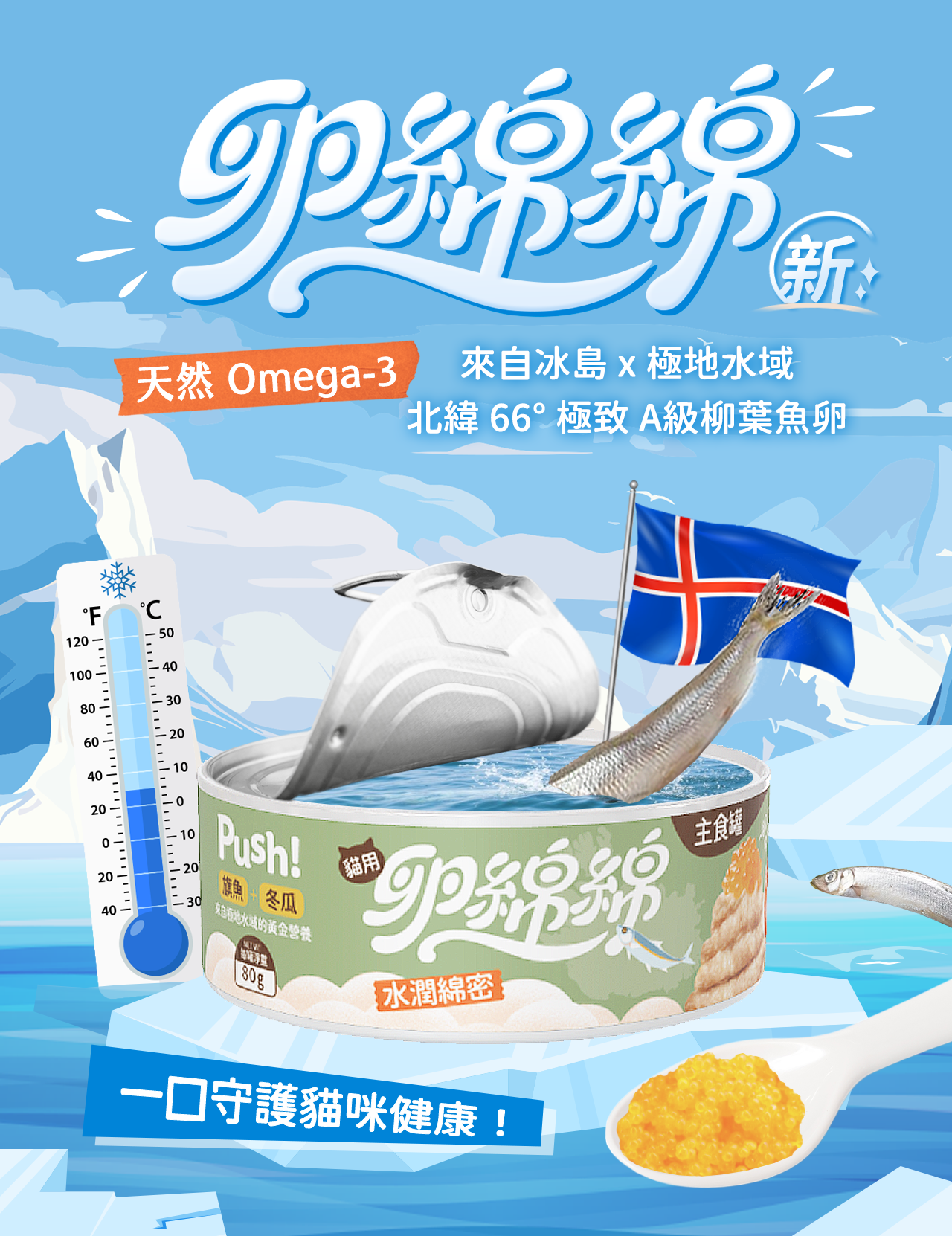 北極藍背景，Push! 卵綿綿貓主食罐產品主視覺，搭配冰島柳葉魚、國旗、溫度計與柳葉魚卵特寫，突顯「天然Omega-3、冰島極地A級柳葉魚卵」賣點。