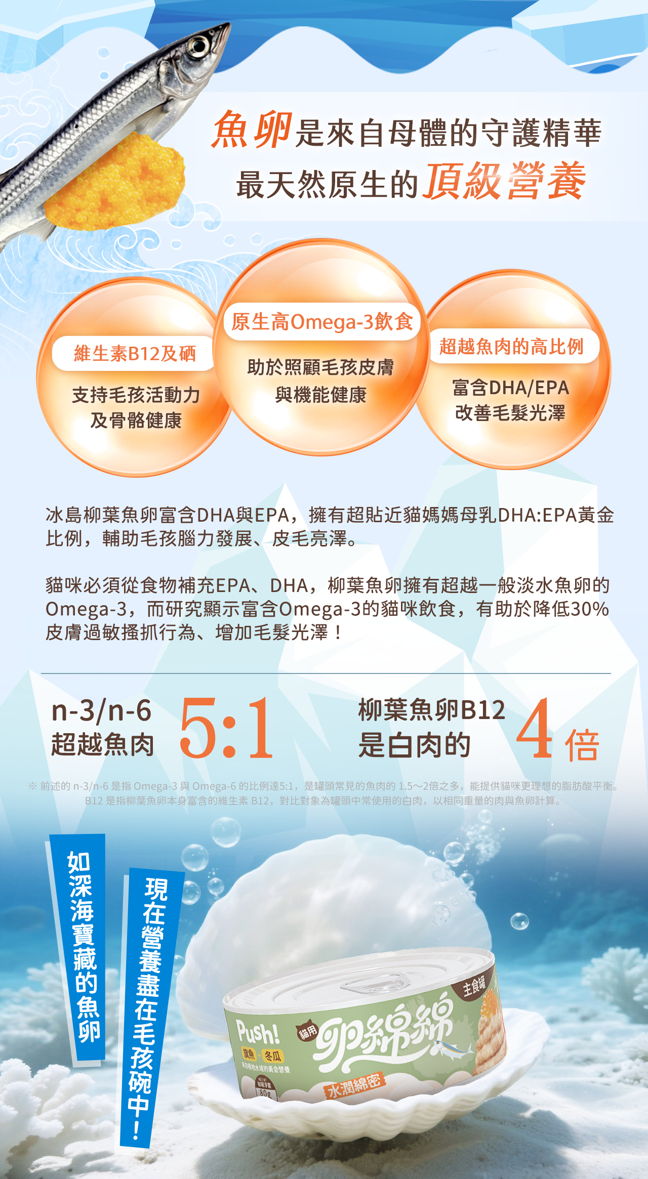 挪威柳葉魚主題，推廣來源於挪威高緯度新鮮柳葉魚，搭配柳葉魚圖與營養標示，展示產品活性鈣質、天然硒、維生素B12等營養特色。