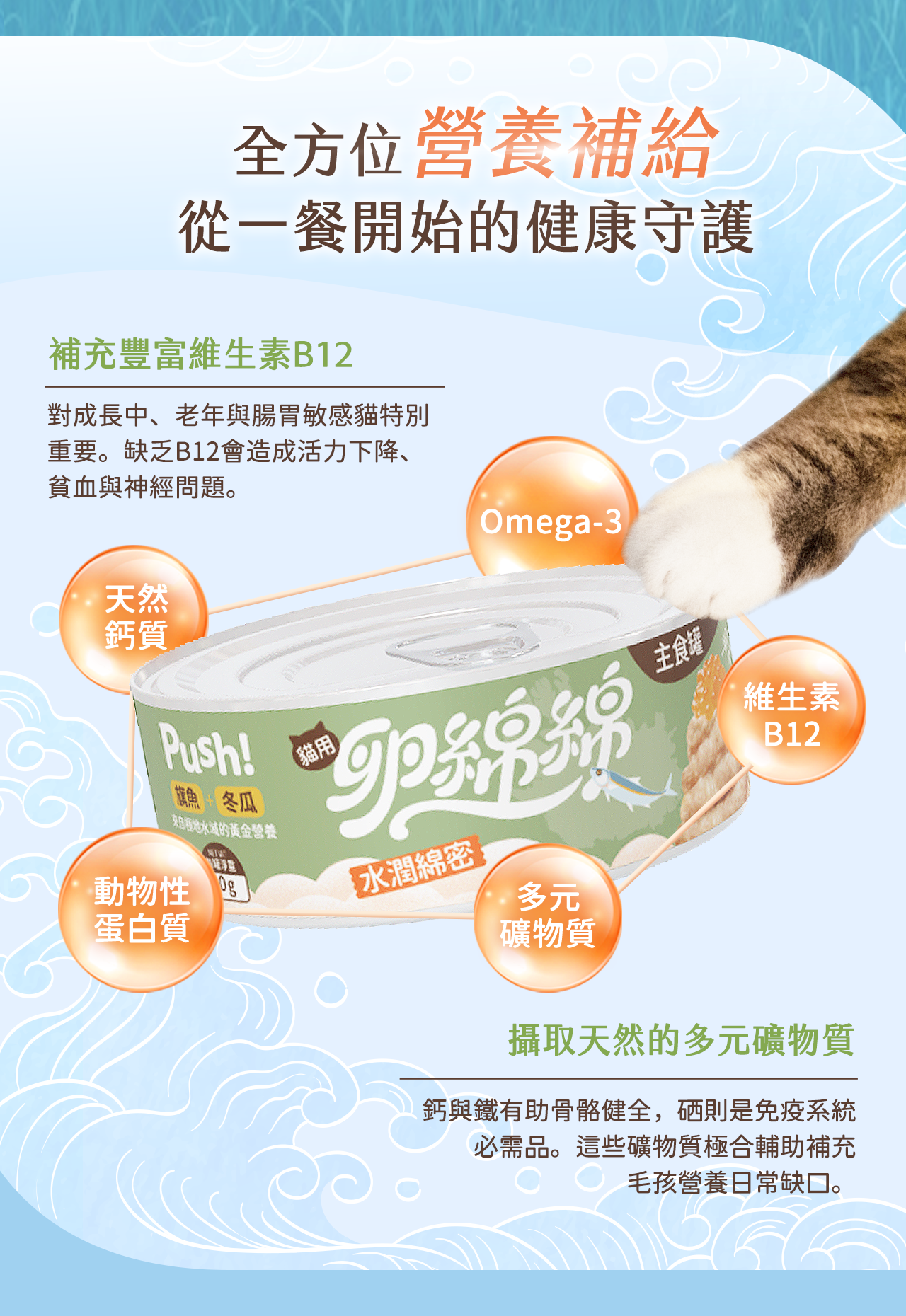 Push! 卵綿綿貓主食罐產品與柳葉魚卵、柳葉魚插圖，說明柳葉魚卵營養成分，強調DHA、EPA與母乳黃金比例及吸收率，突出深海魚卵營養如珍珠般珍稀形象。