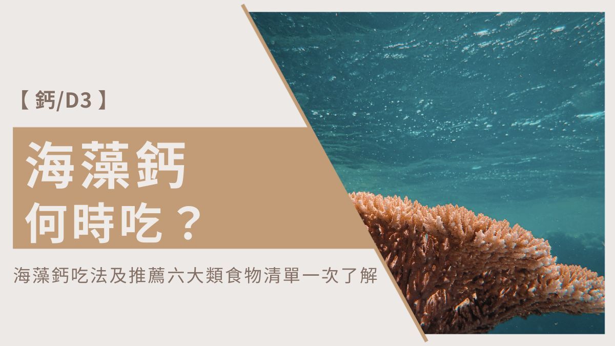 海藻鈣何時吃