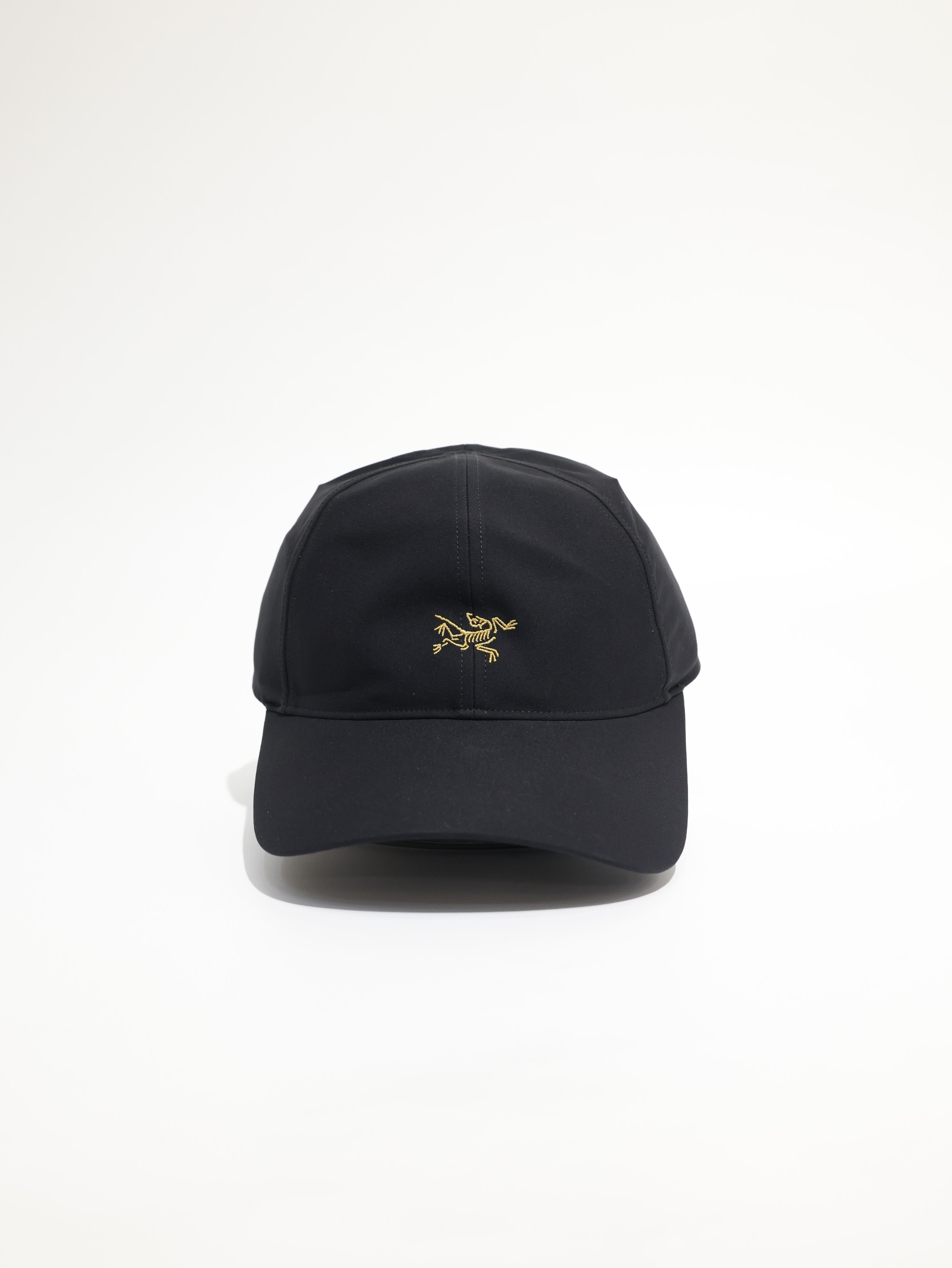 ARCTERYX 始祖鳥 LOGO棒球帽 Small Bird Cap X000009782