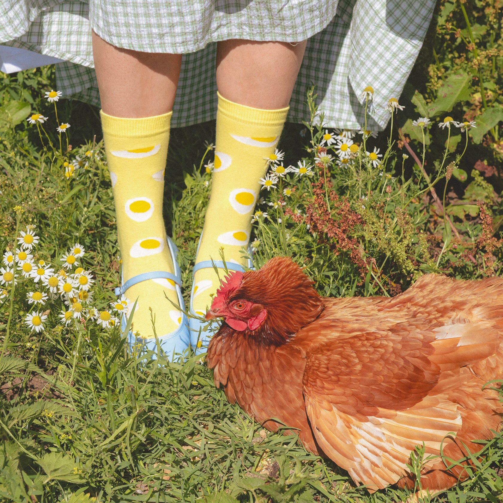 Egg Socks｜Coucou Suzette