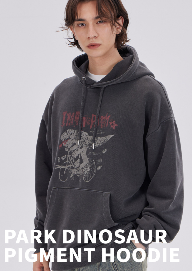 【韓國預購】AKR090124 Dysfunct 連帽衛衣 (Park Dinosuar)