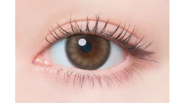 [日拋] Flanmy 1 Day Earl Grey Parfait｜日拋彩妝隱形眼鏡｜每盒10片