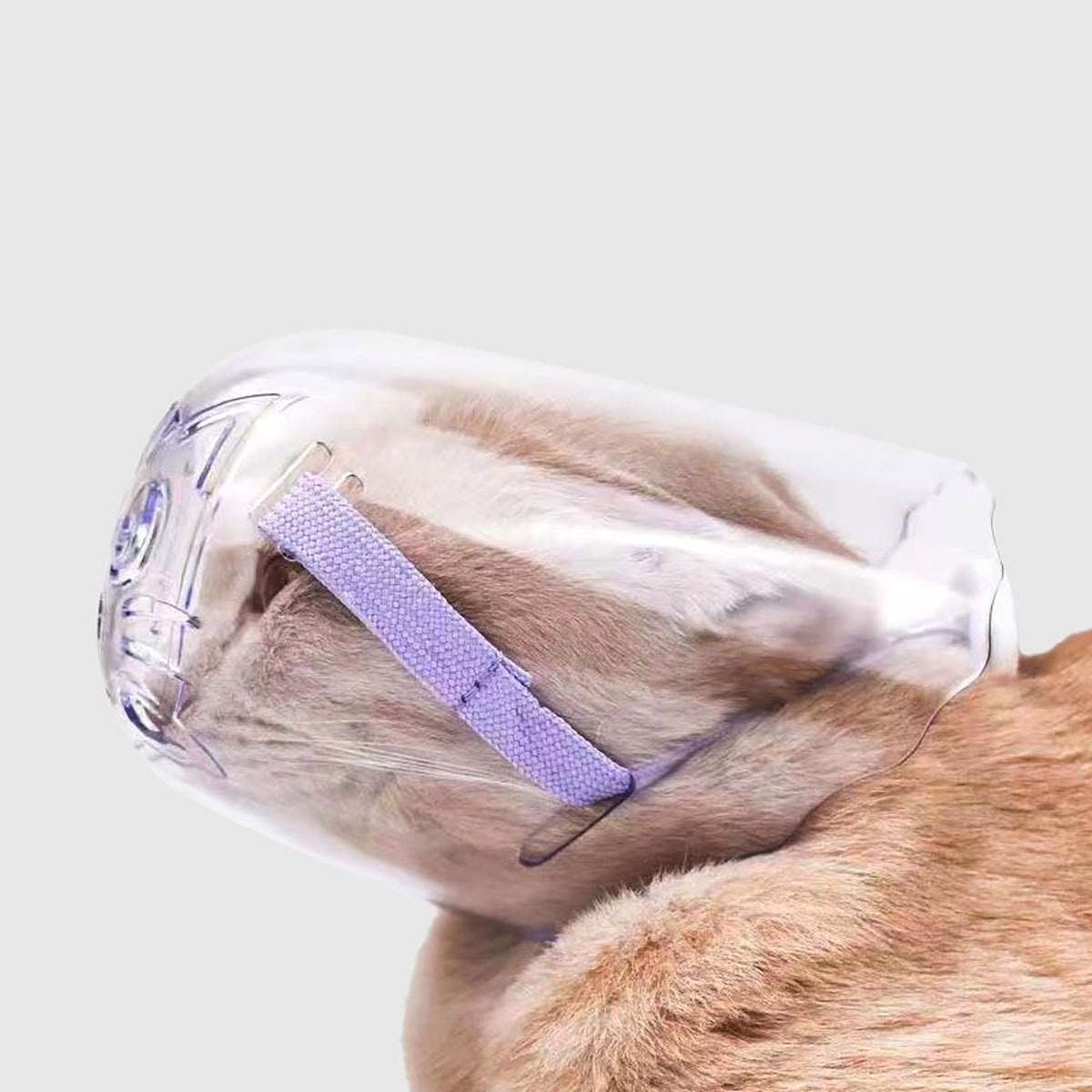寵物用品｜貓咪透明防咬嘴套