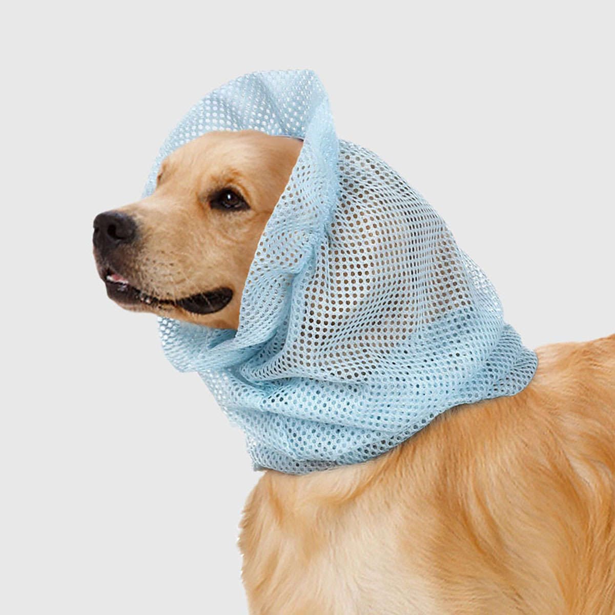 寵物用品｜寵物防蚊蟲耳套