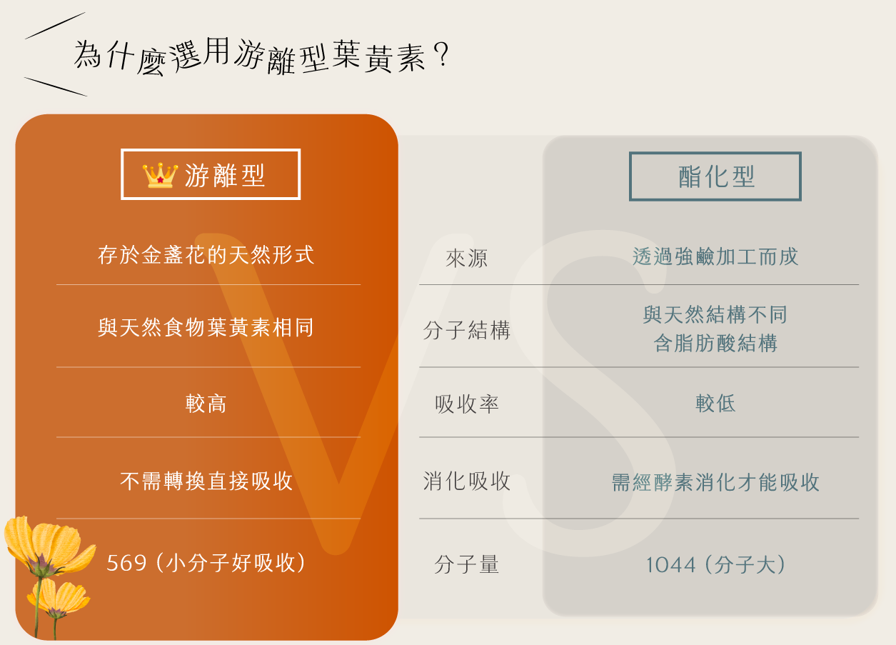 葉黃素,智利酒果葉黃素,游離型葉黃素比較