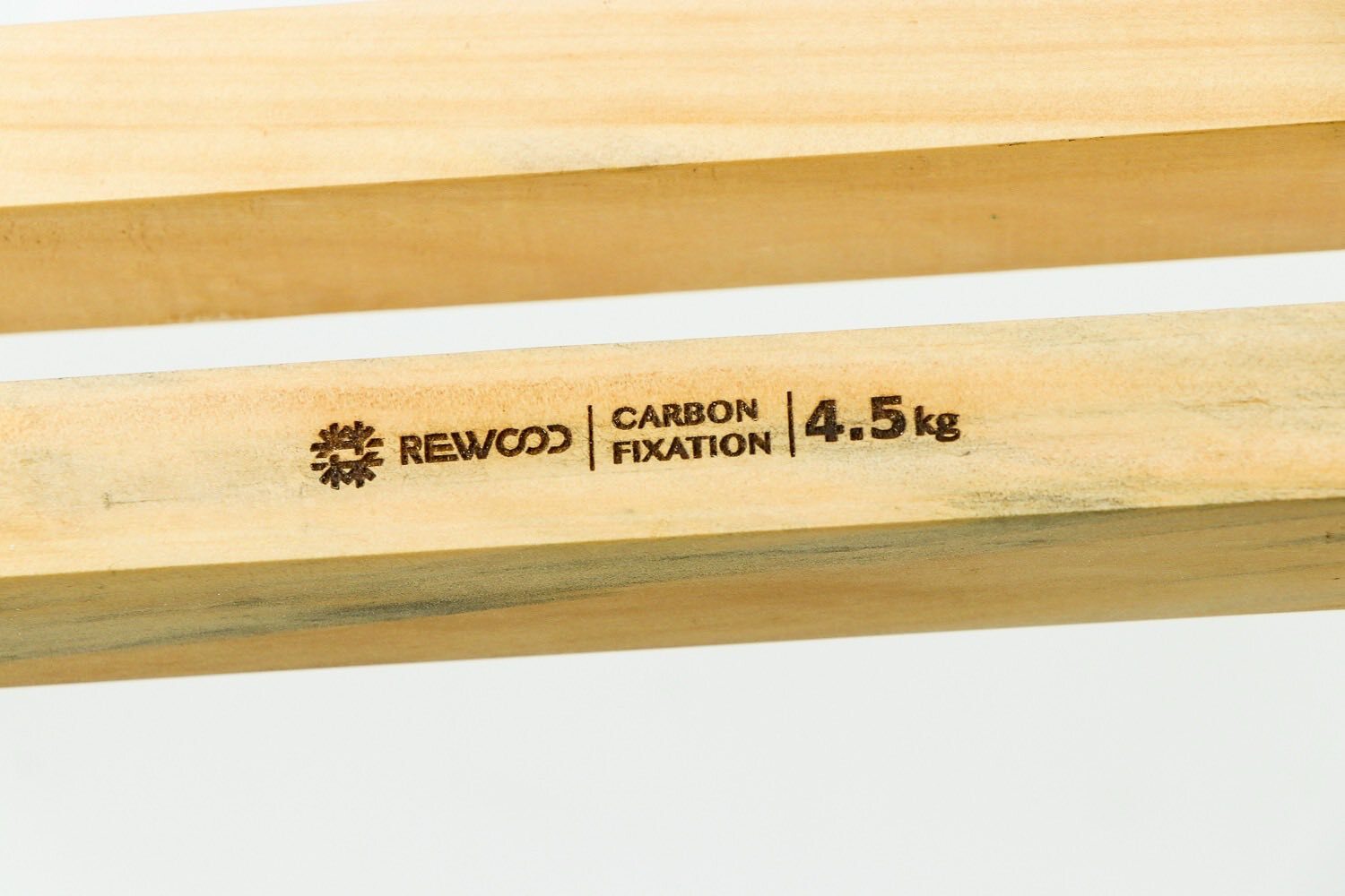 REWOOD南洋杉，來自與社區的創作