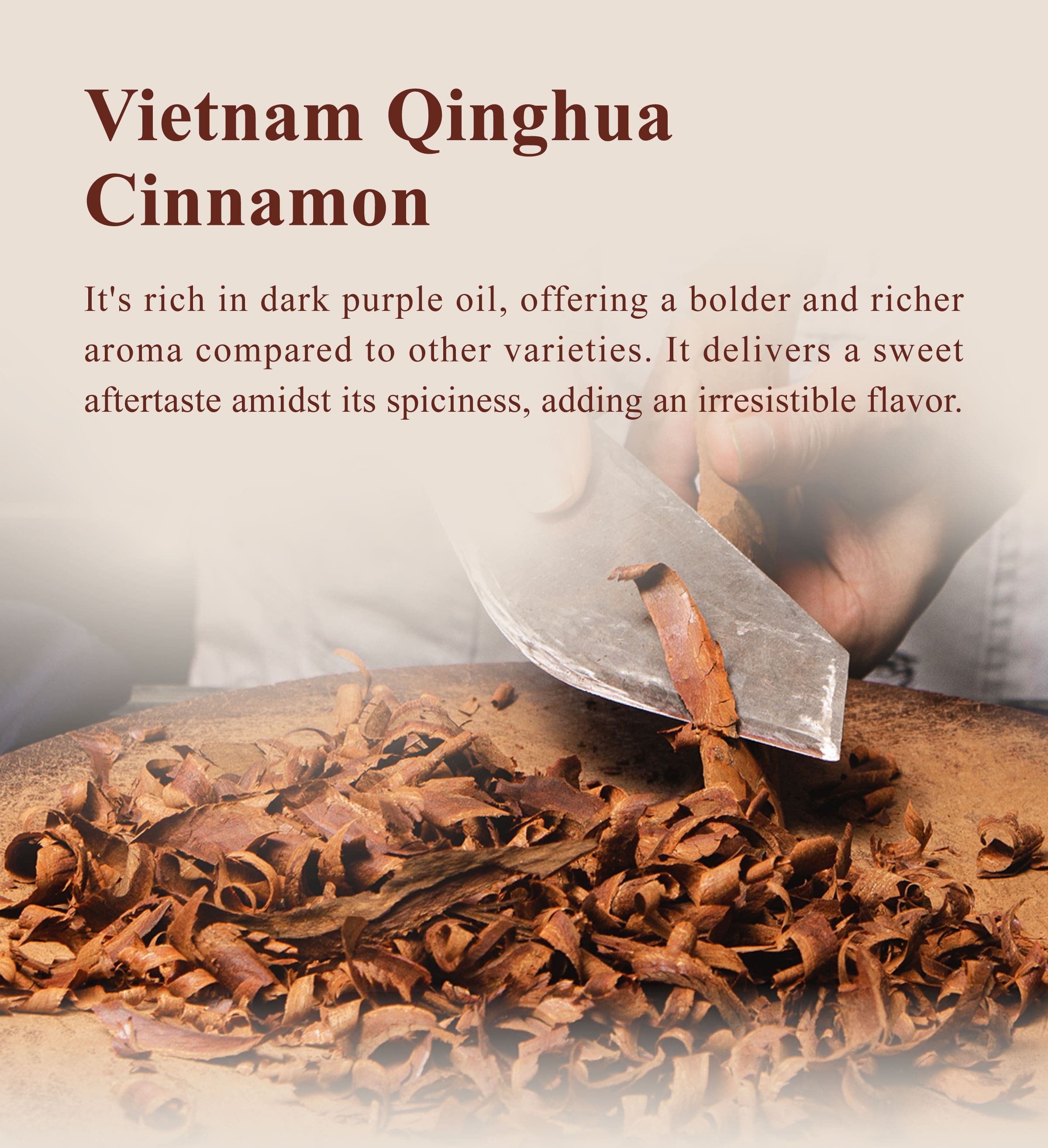 Introduction of Dengyi Vietnam Qinghua Cinnamon