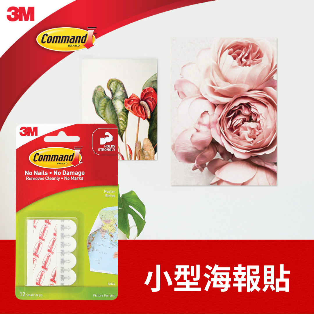 3M 無痕報報膠貼(12片裝) 17024