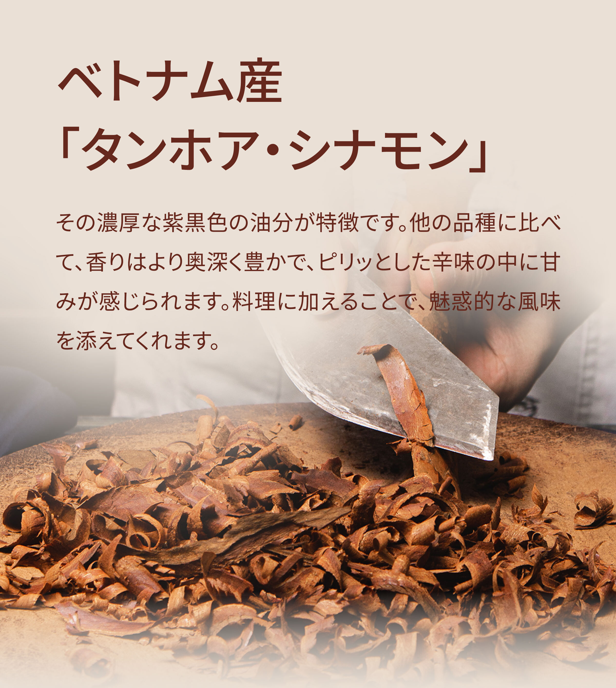 Dengyi タンホア・シナモンの紹介