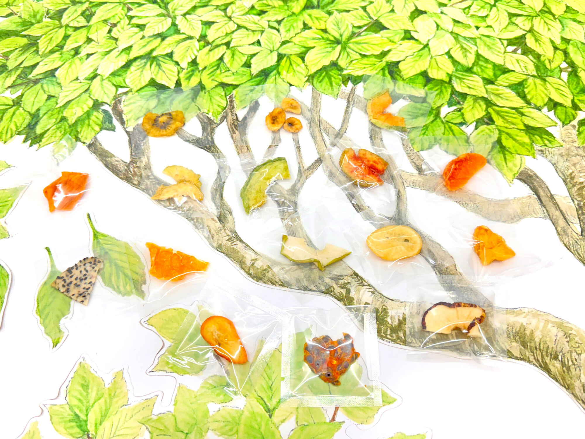 透明款小果乾-迷你包