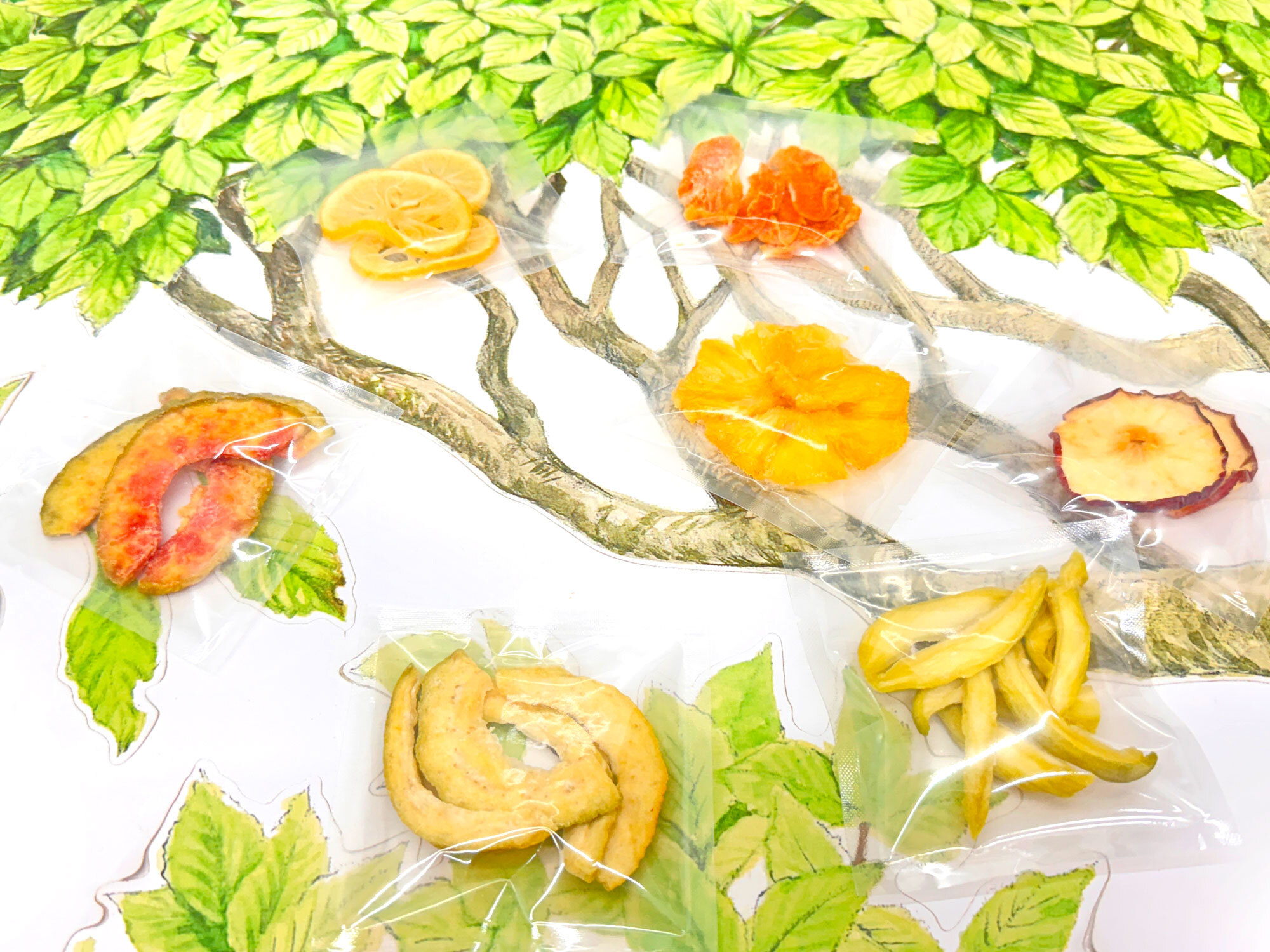 透明款小果乾-可愛包