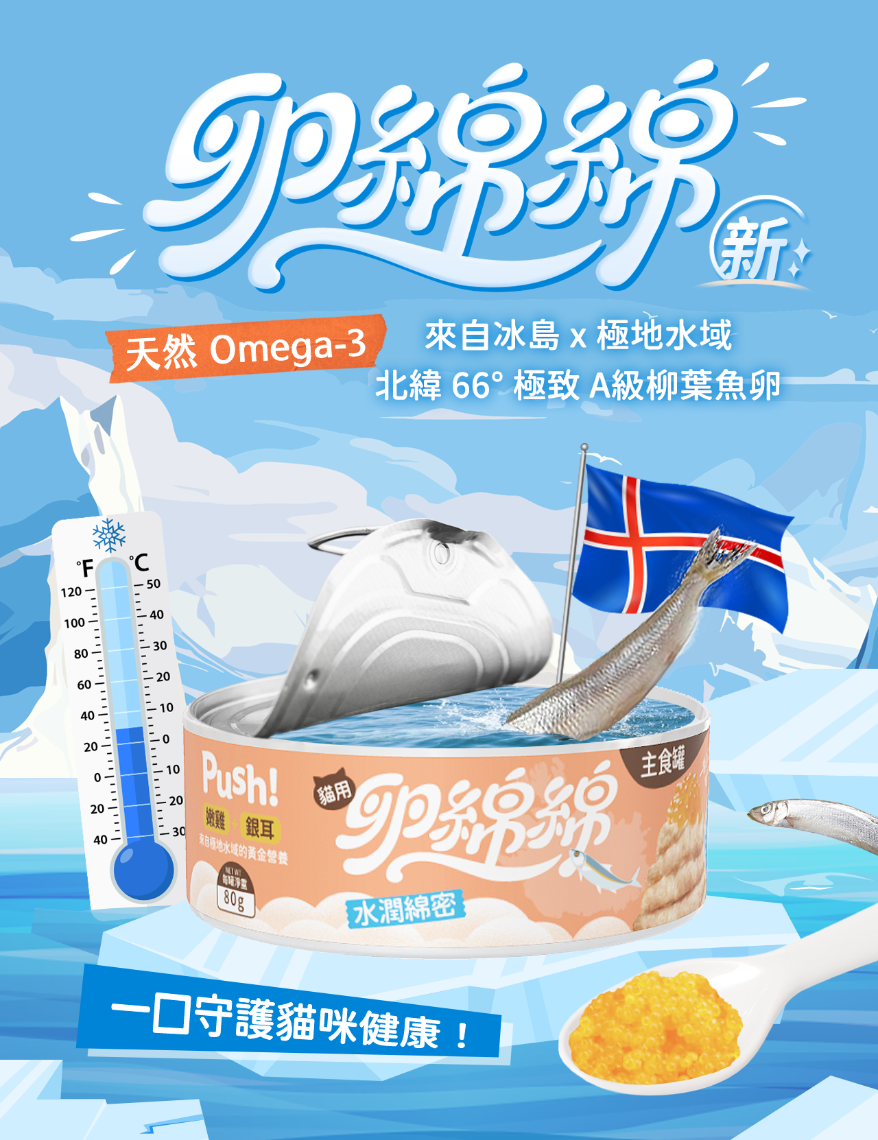 Push!卵綿綿貓主食罐主視覺，搭配冰島柳葉魚、旗幟、溫度計及柳葉魚卵特寫，突顯極地水域產地、A級柳葉魚卵與產品天然Omega-3訴求。