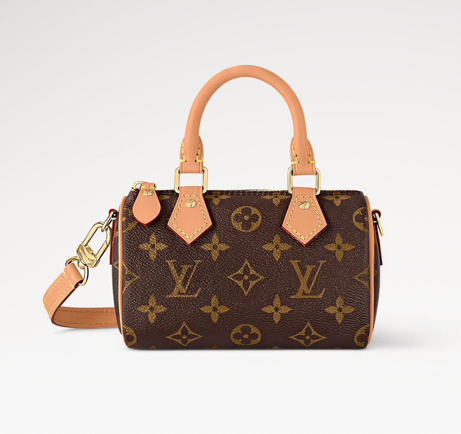 LV Nano Speedy Bag
