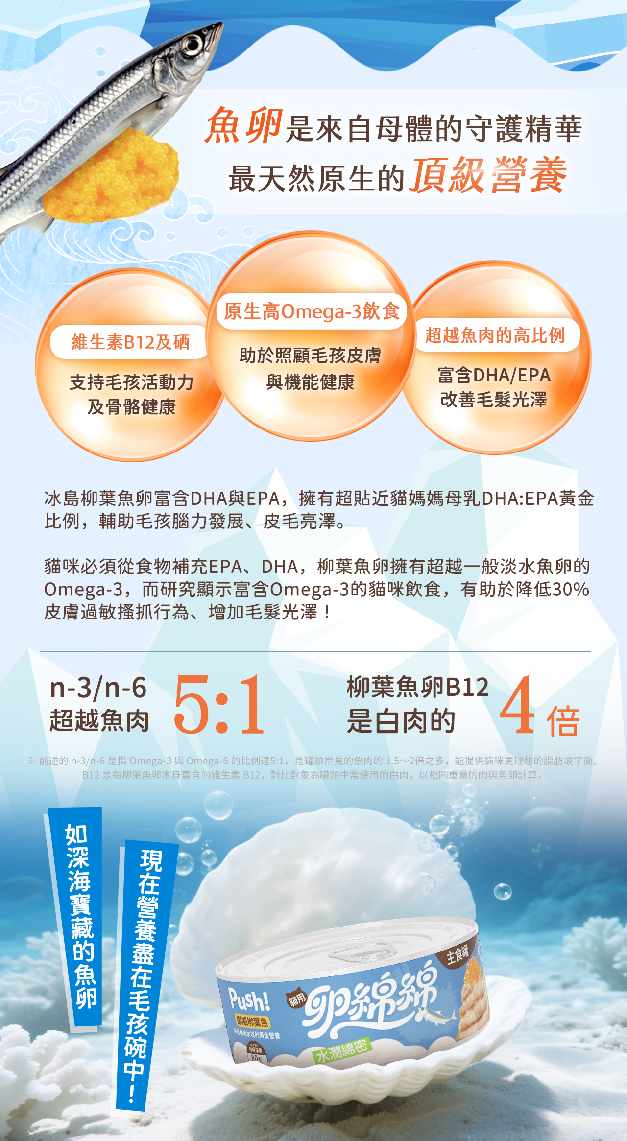 冰島柳葉魚與魚卵主題,展示卵綿綿罐頭高含量Omega-3及DHA/EPA、維生素B12與磷,突顯魚卵為頂級天然營養來源,協助毛孩腦部與皮毛健康。