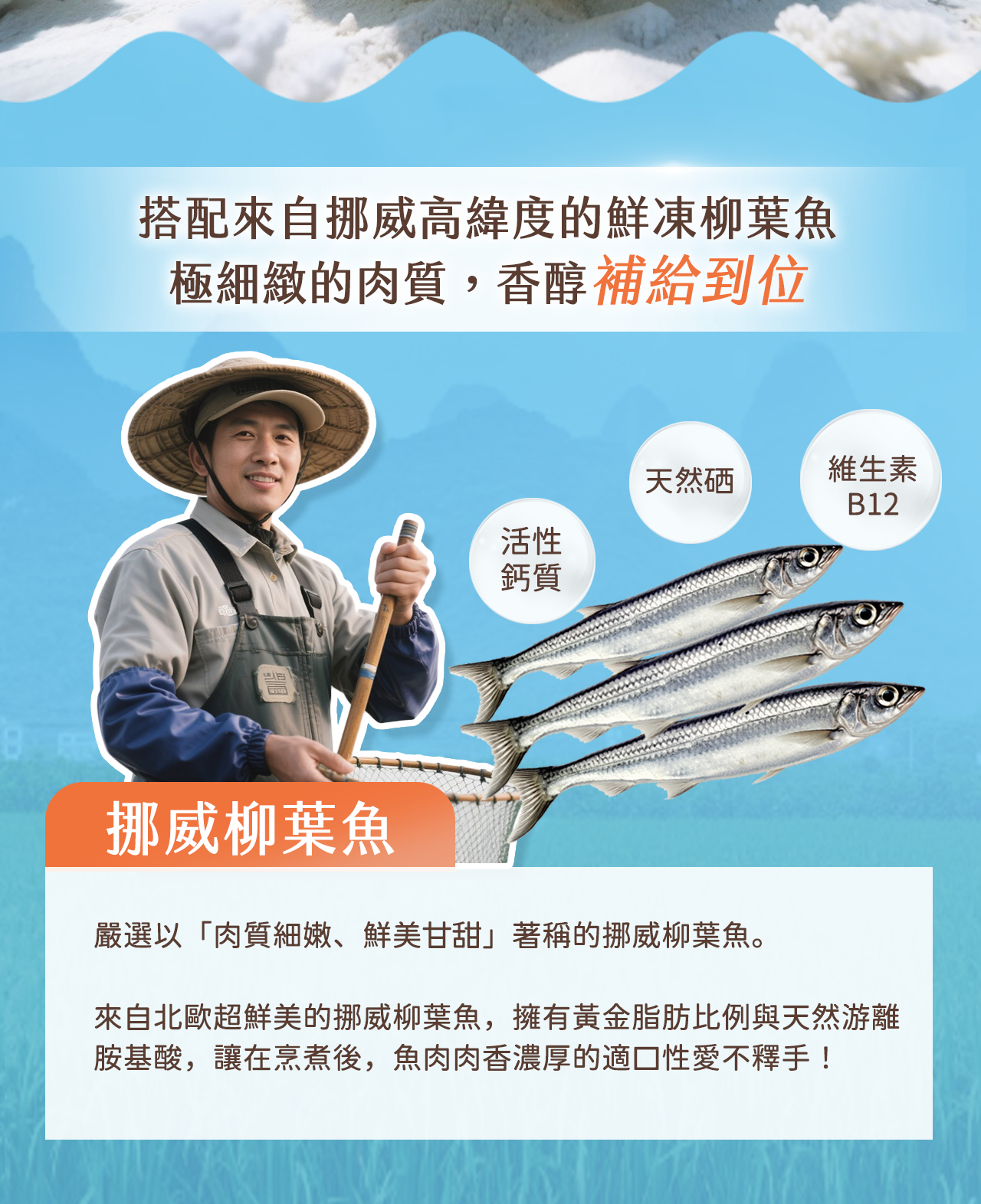 挪威柳葉魚主題,強調新鮮柳葉魚肉質細緻、天然礦物及維生素B12補給,介紹柳葉魚豐富營養與產地特色。