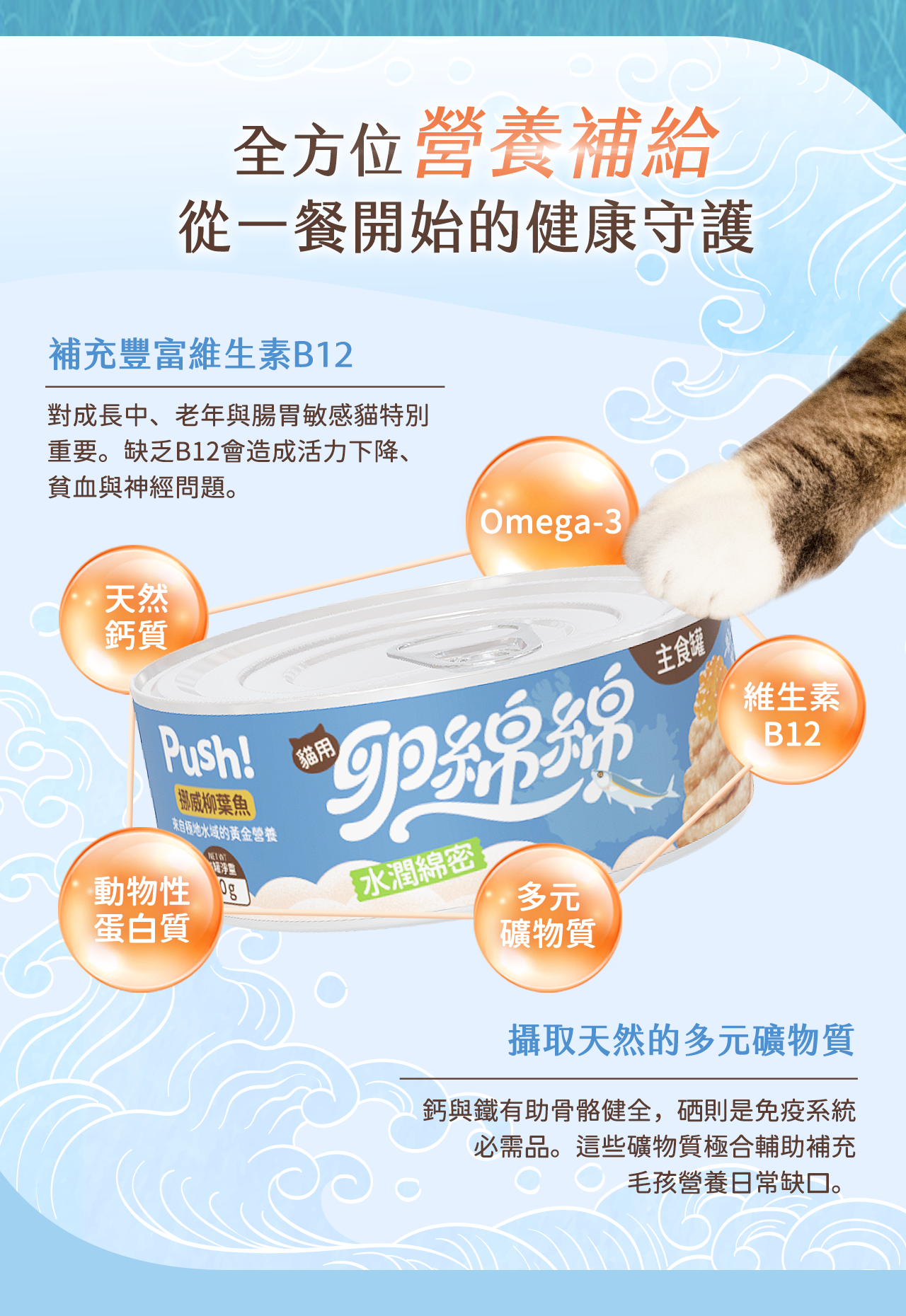 Push!卵綿綿貓主食罐補充維生素B12與Omega-3,搭配天然鈣質、多元礦物質與動物性蛋白質,貓咪伸爪觸碰罐頭,表現全方位營養守護。