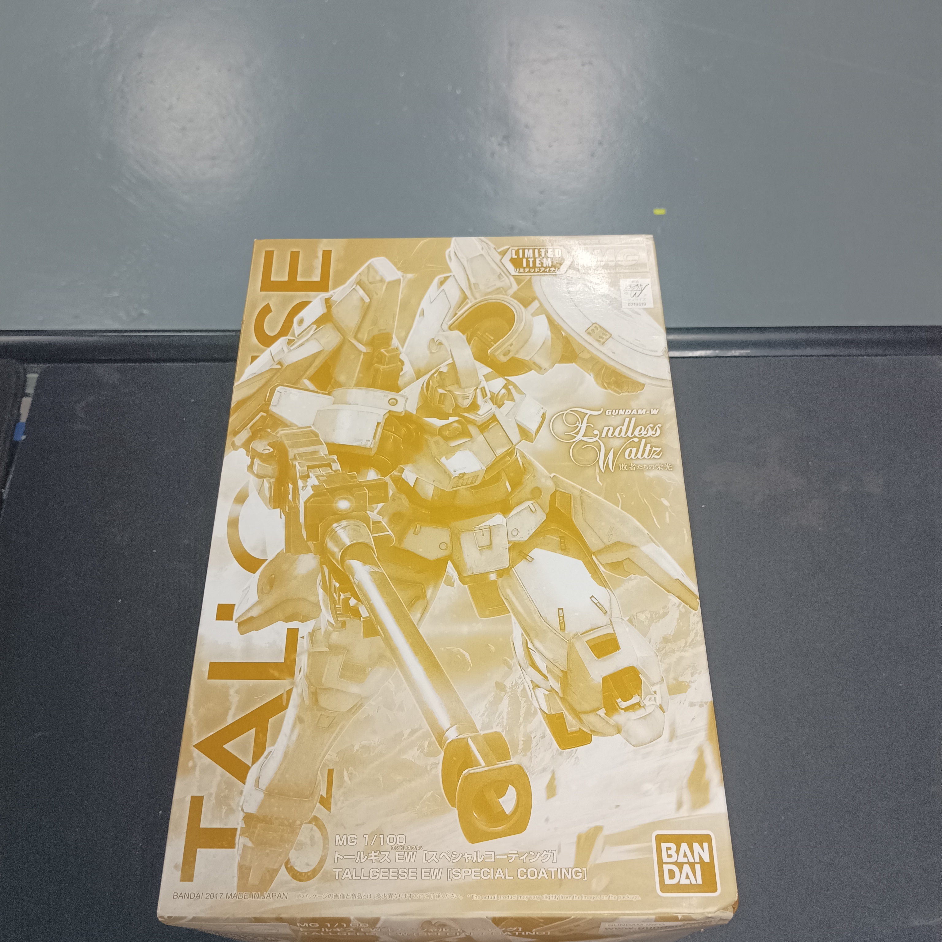 MG 1/100 Tallgeese EW [SPECIAL COATING]