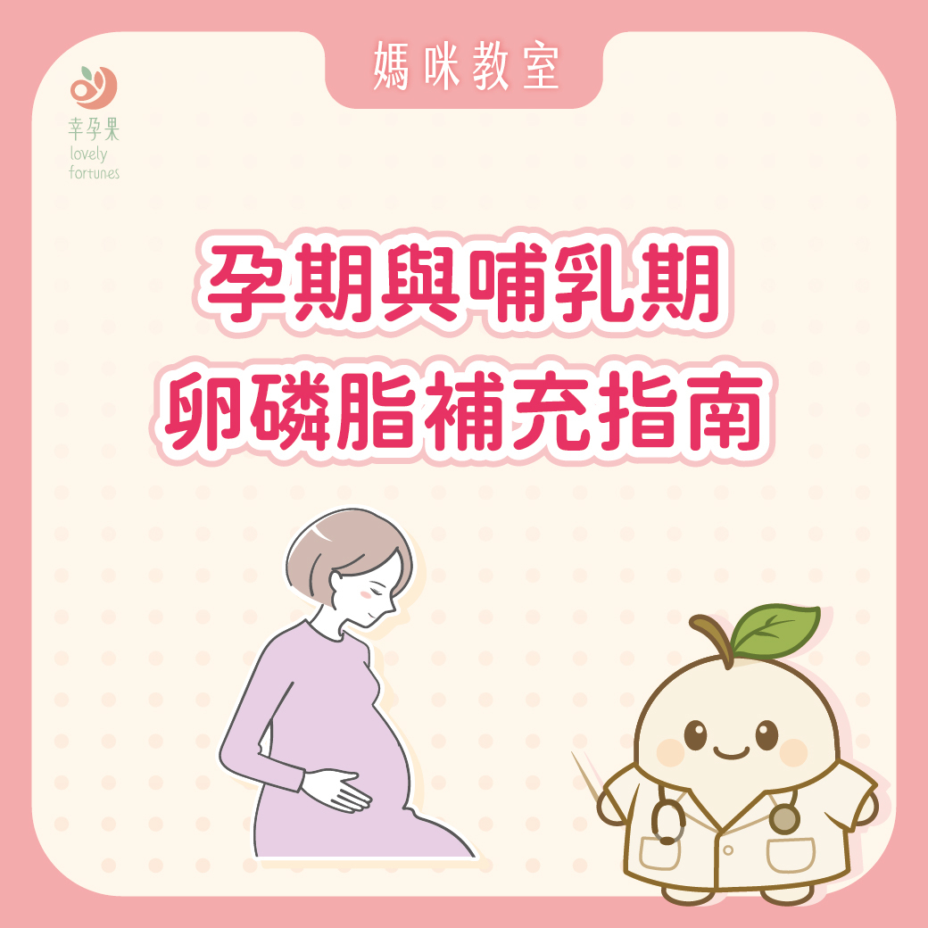 幸孕果媽咪教室 孕期與哺乳期卵磷脂補充指南