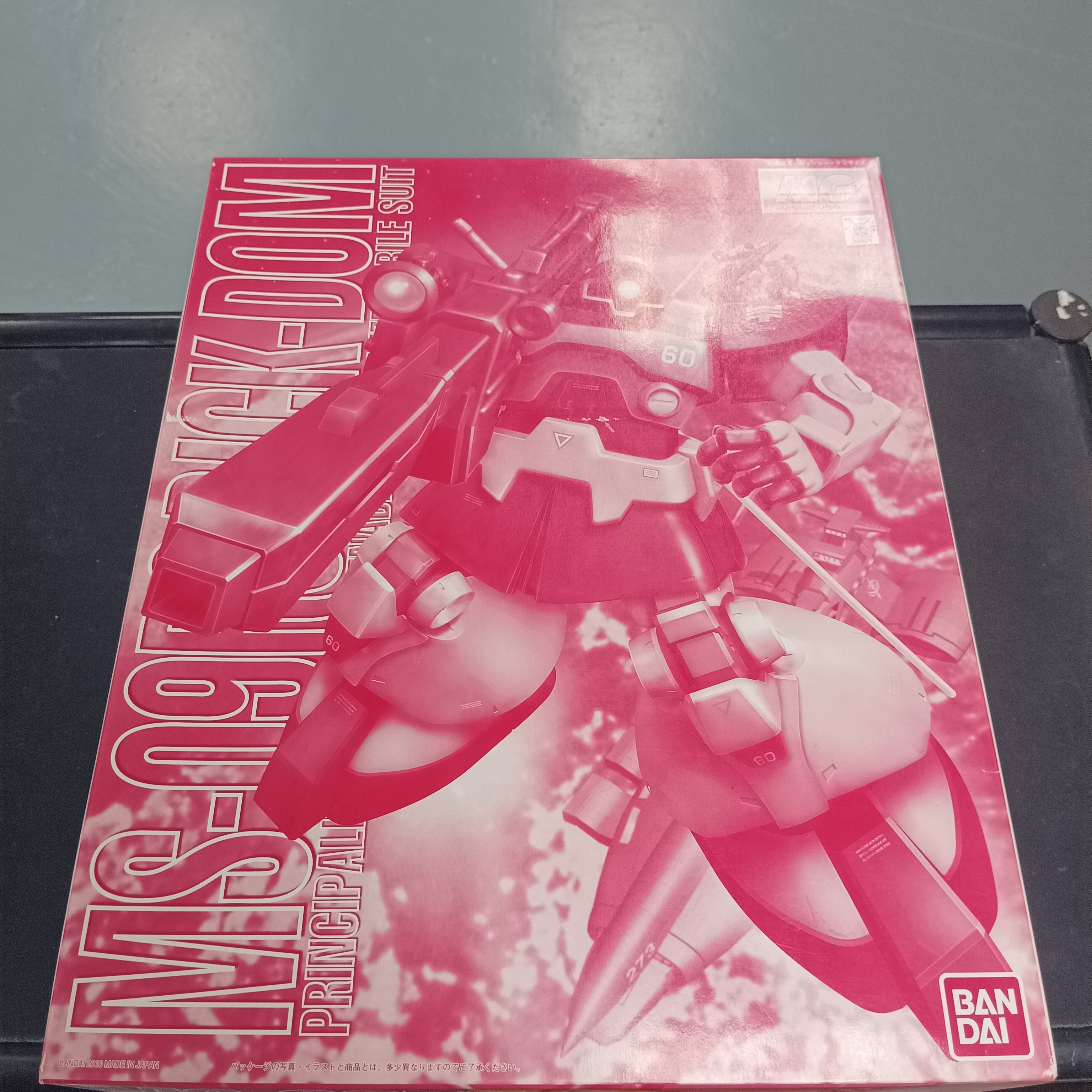 MG 1/100 Rick Dom char's costum