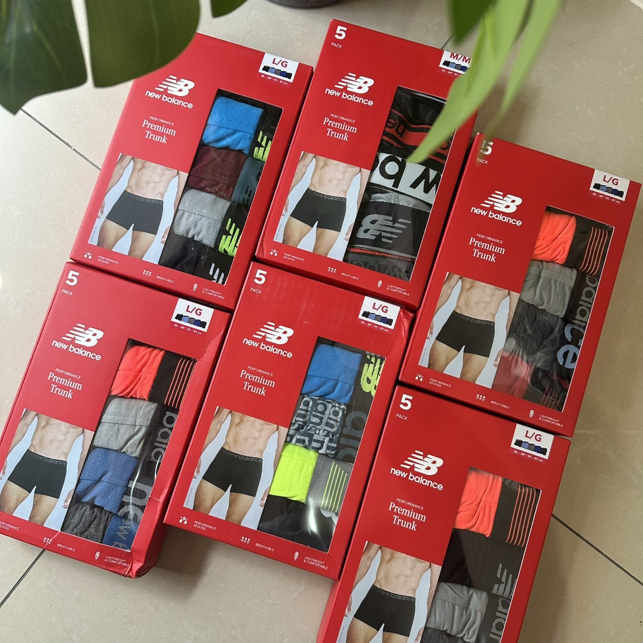 <現貨一盒五入> NEW BALANCE 內褲 5件組 顏色隨機