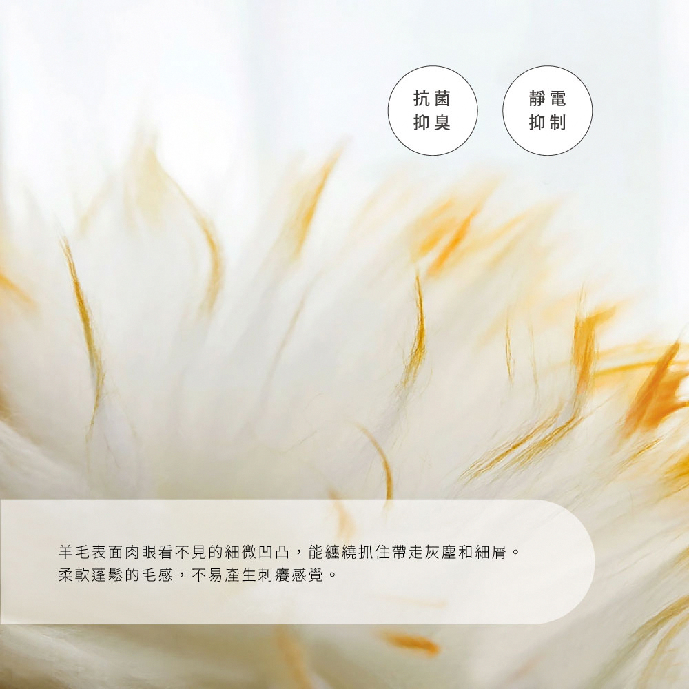 《WOOL DUSTER》澳洲美麗諾天然羊毛除塵撢 LL