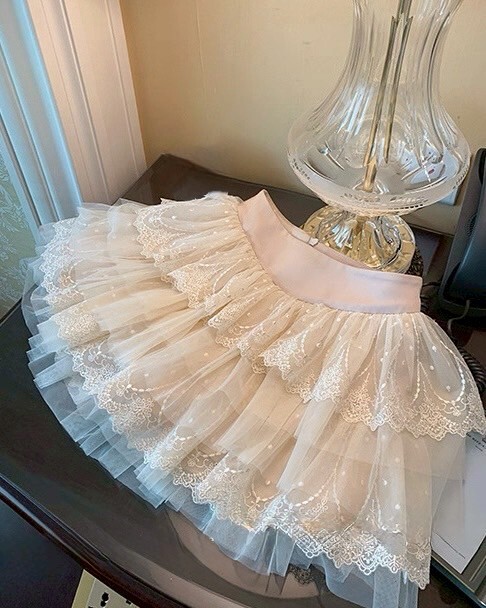 設計師家五層蕾絲刺繡後拉鏈褲裙