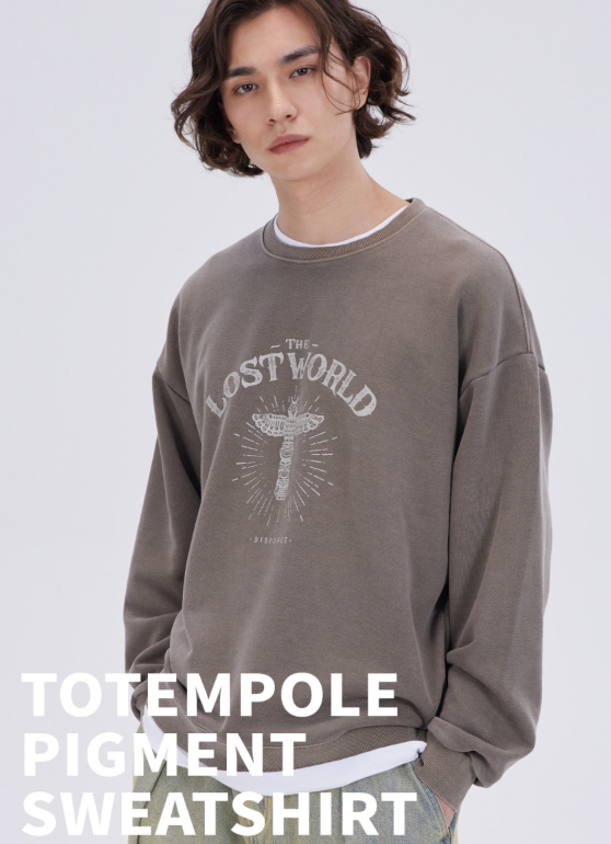 【韓國預購】AKR090111 Dysfunct 圓領衛衣 (Totempole)