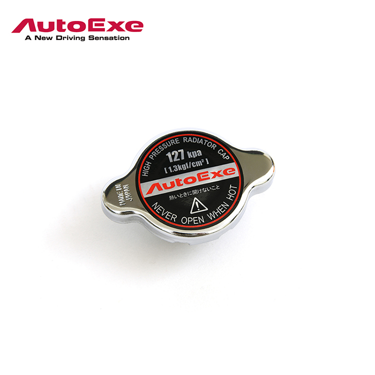 AUTOEXE 水箱蓋 大頭