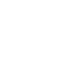 自己領