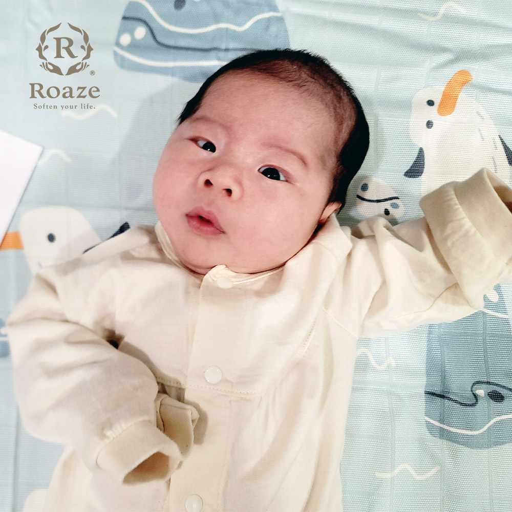 【Roaze 柔仕】冰絲竹纖維涼感紗布被 - 海鷗踏踏