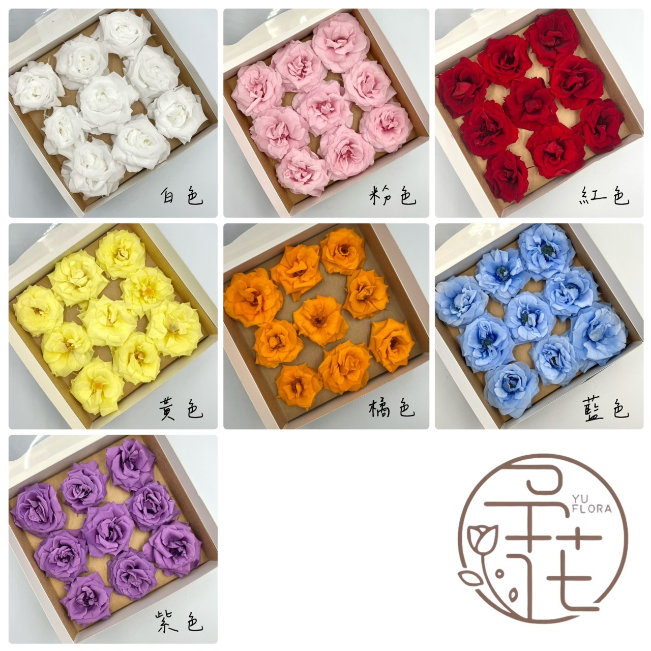 不凋瑪加利卡玫瑰(9朵)