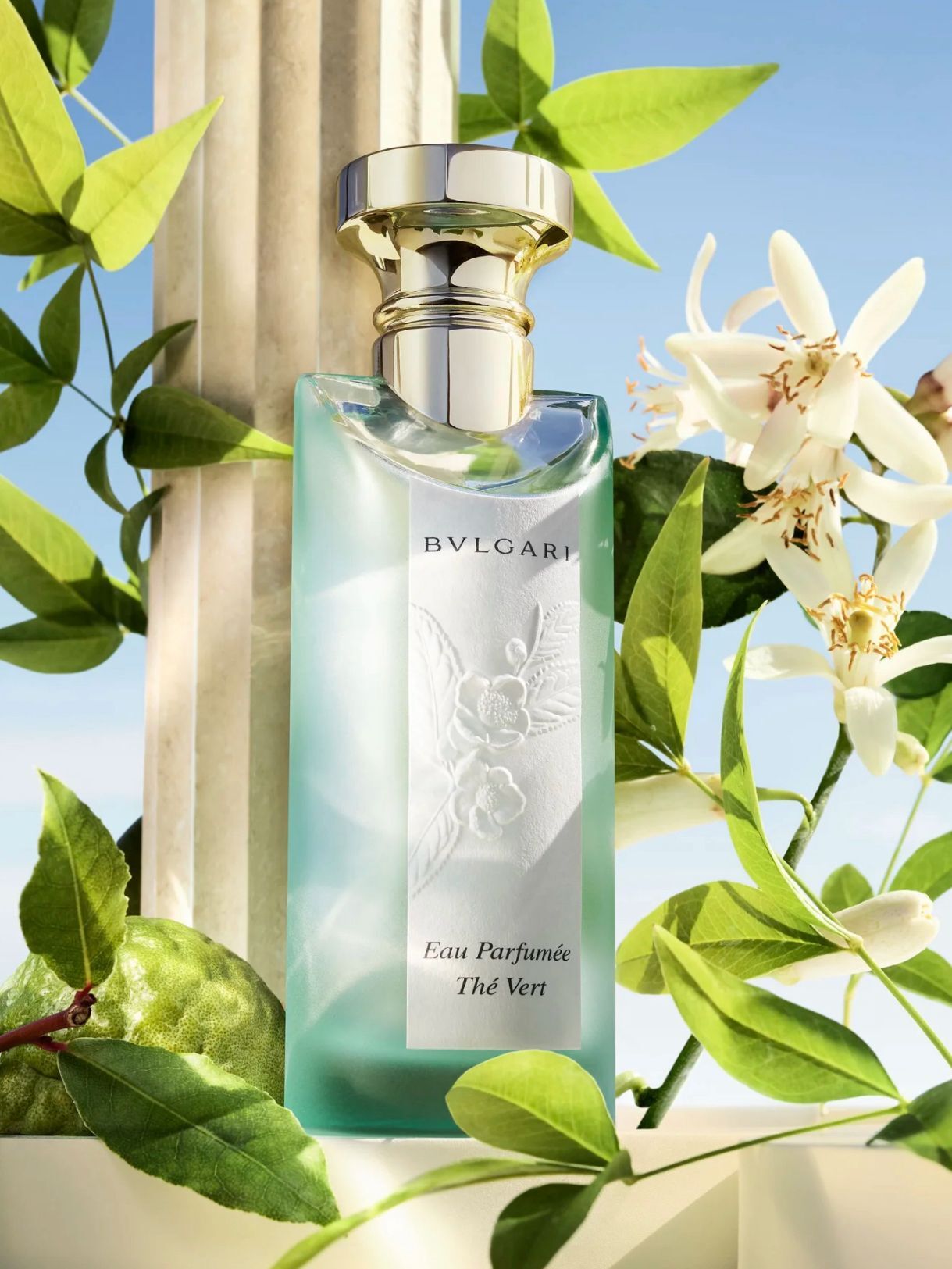 BVLGARI 綠茶淡香水75ml🍵低調純凈淡雅～ 混合木質調的綠茶香