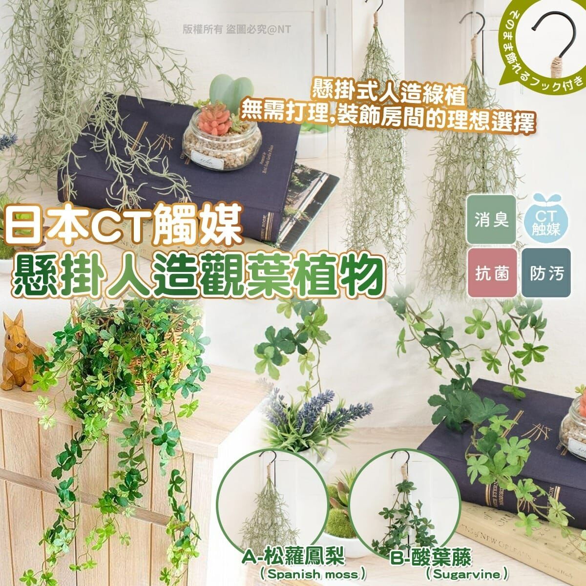 【預訂】AQ090301 日本 CT 觸媒懸掛人造觀葉植物
