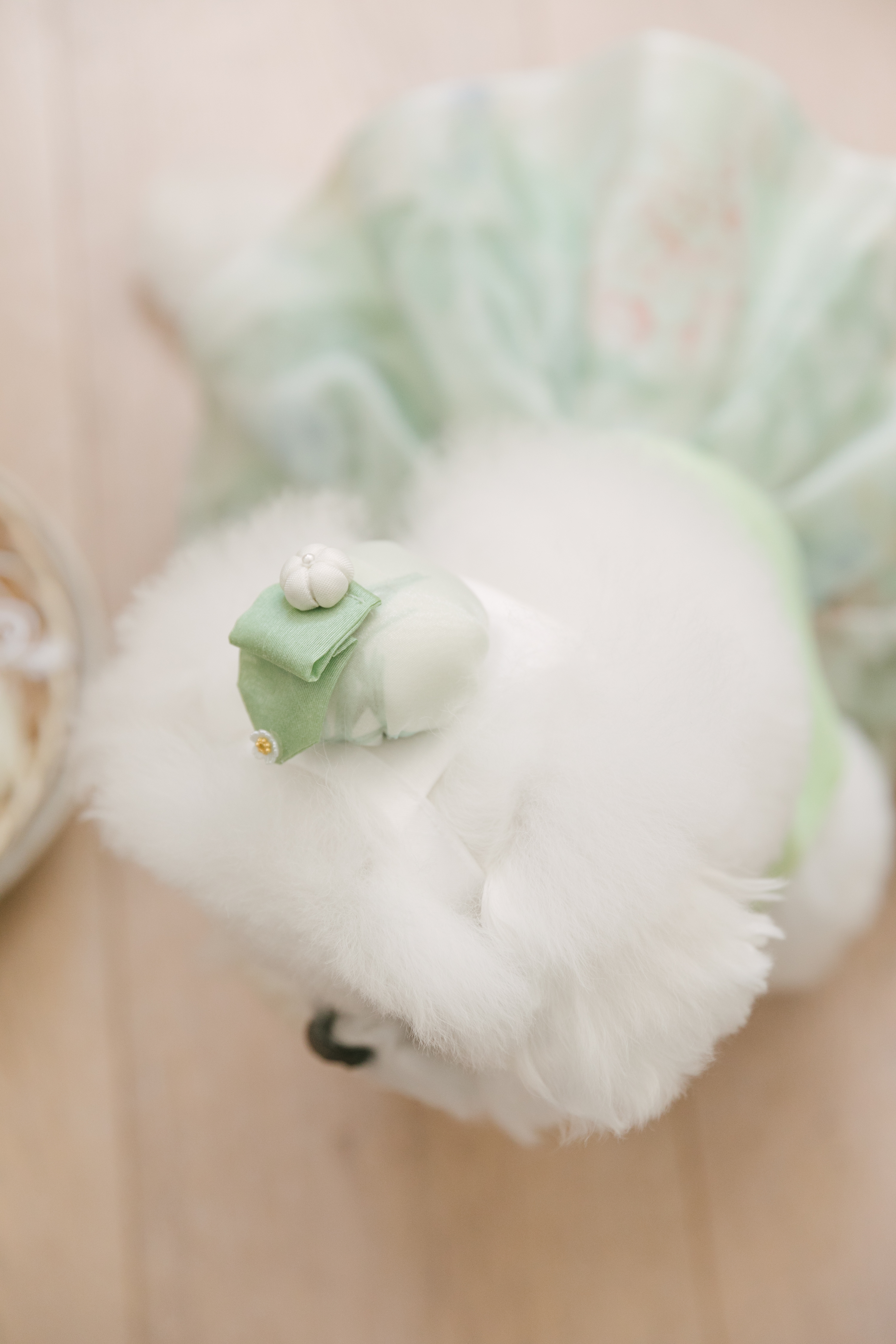 Flora 傳統南瓜帽