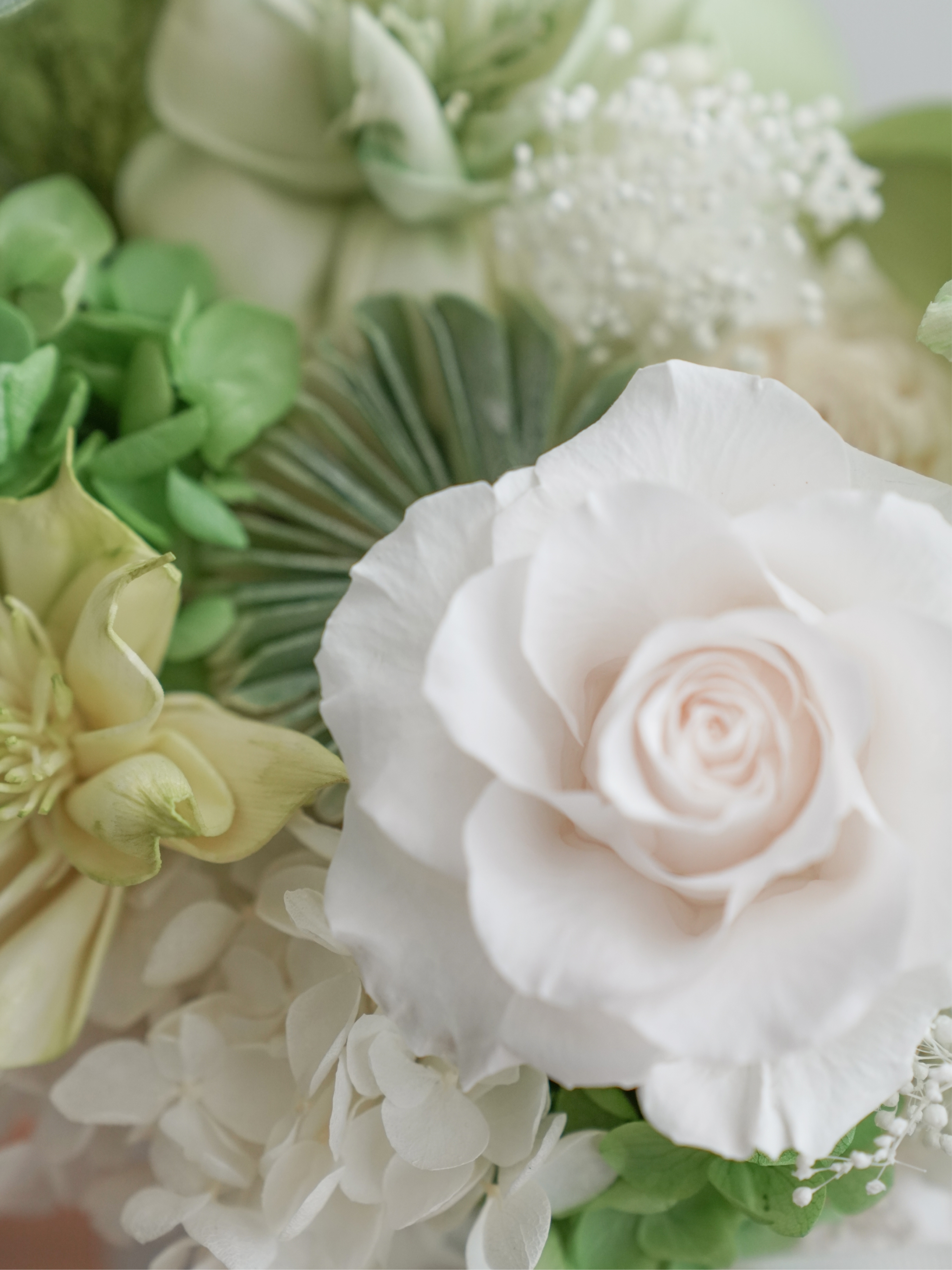 靜謐森林之心 永生盆花