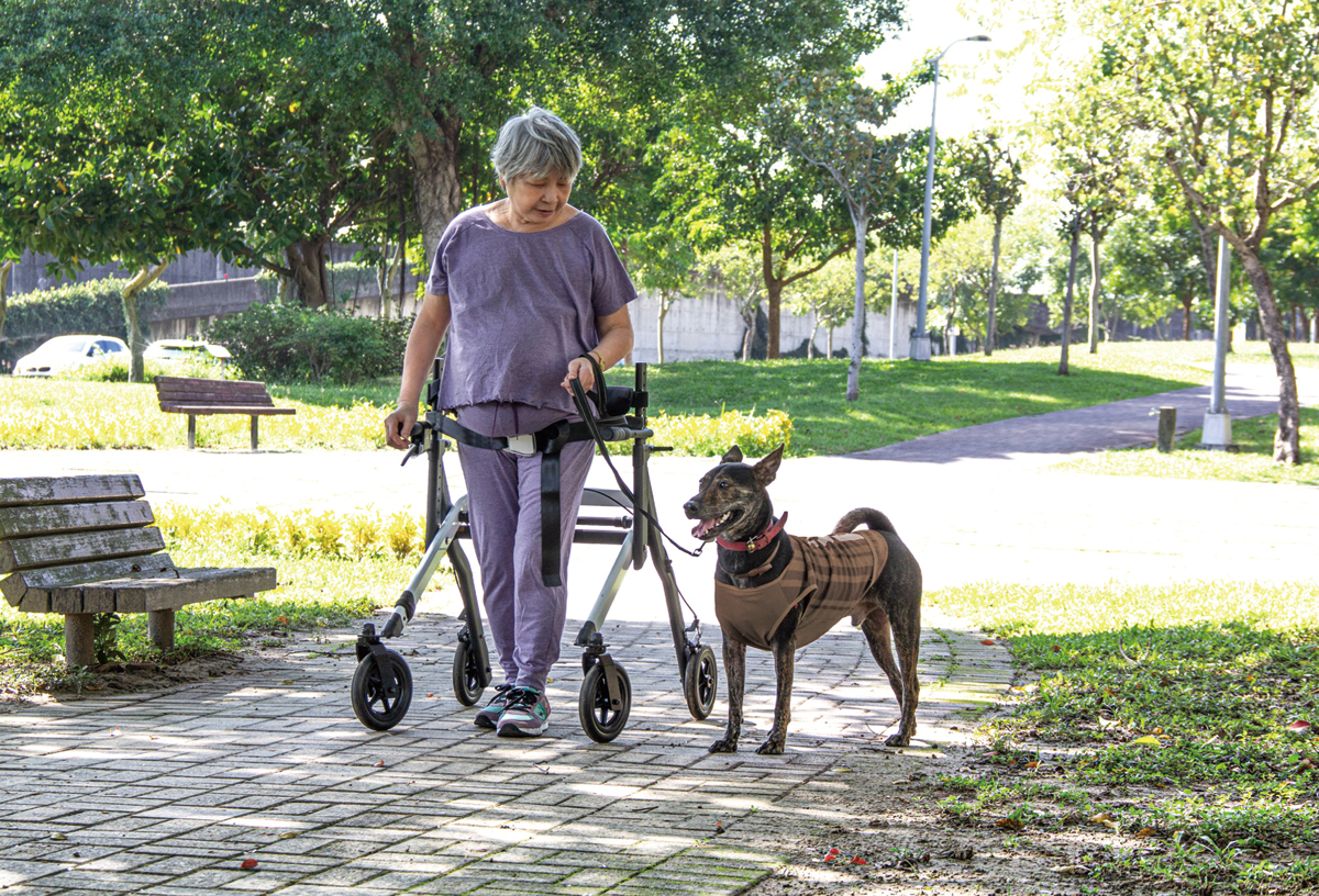 Just 4U 連站 2.0 姿勢控制型助步車