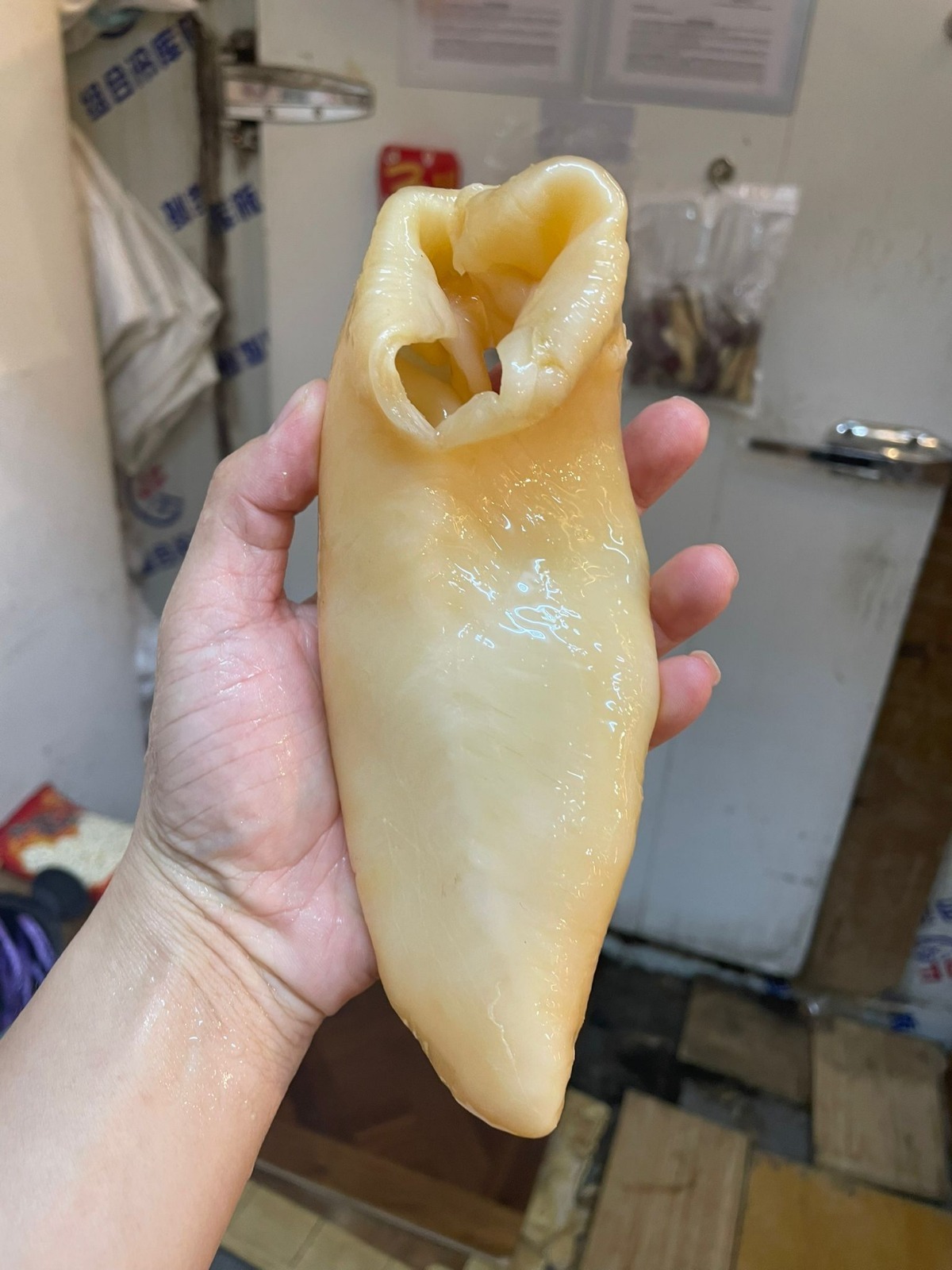 (4270) 20頭澳洲老身黃金花膠筒600g