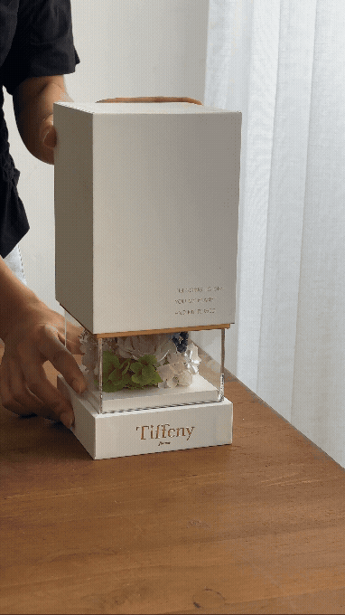梔子花與白玫瑰 蝴蝶紛飛的永生花罩禮盒