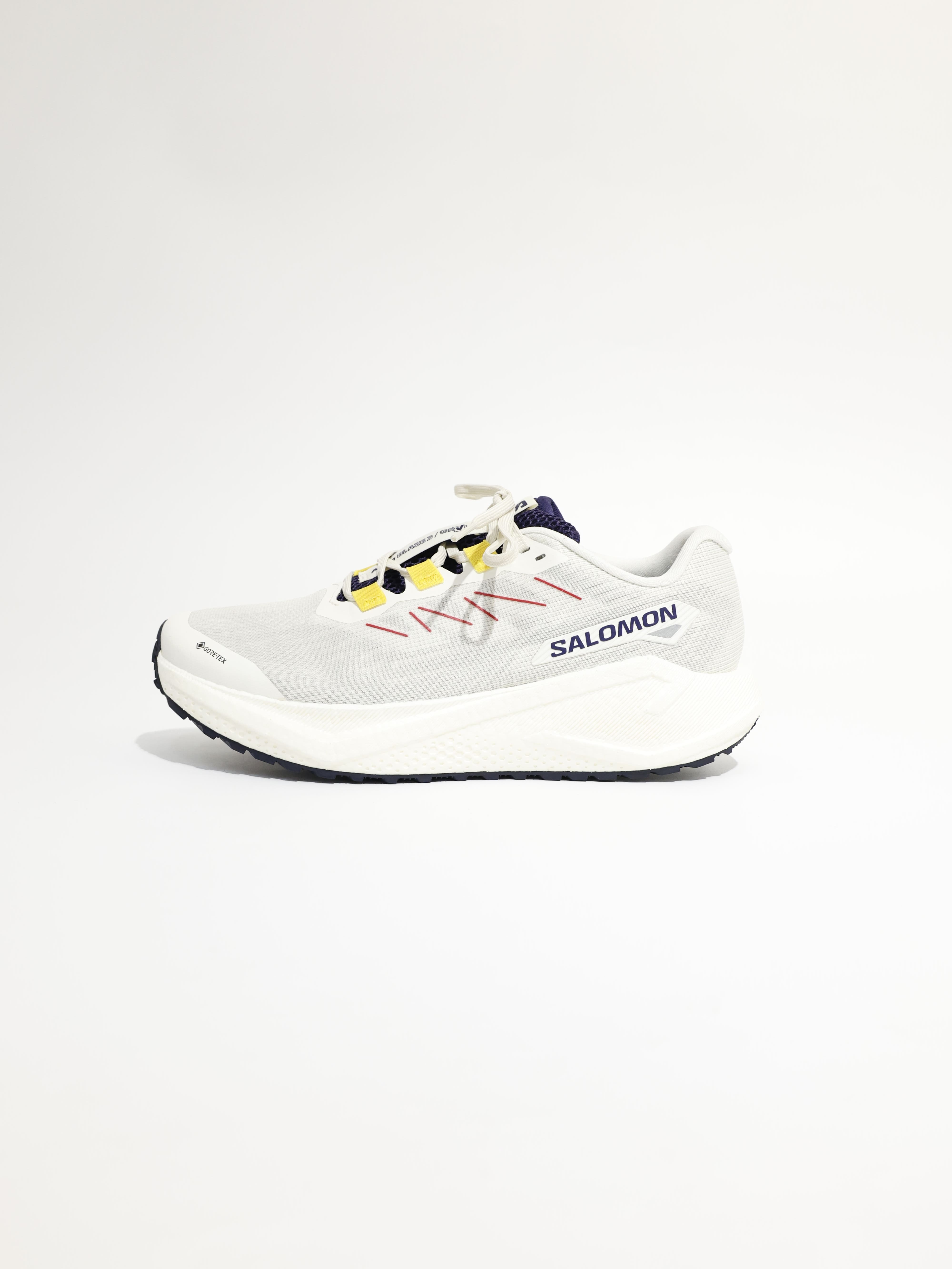 SALOMON 男鞋 AERO BLAZE 3 GRVL GTX 防水 運動鞋 L479532