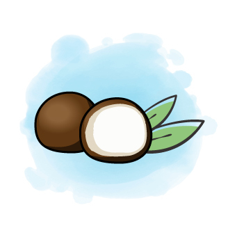 Icon 4