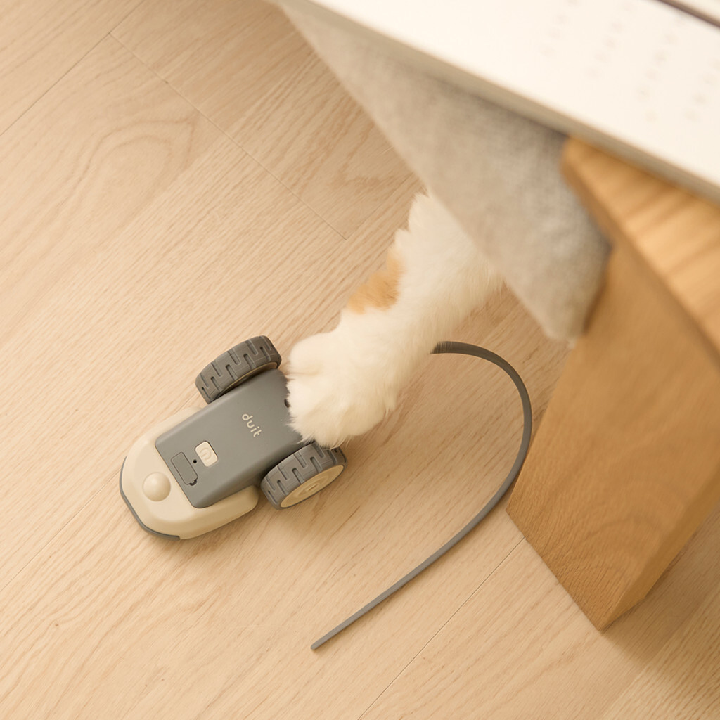 duit mouse bot