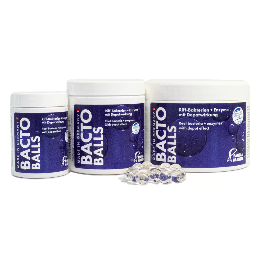 Fauna Marin 德國FM Bacto Reef Balls 海水長效型硝化菌球